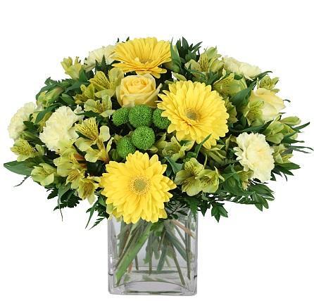 Bright Yellows